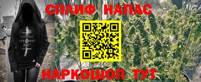 кокс Кинель