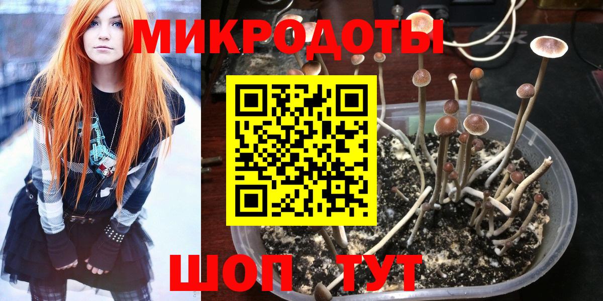 Галлюциногенные грибы Magic Shrooms Краснокаменск