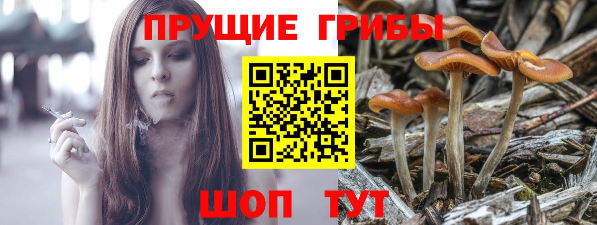 Галлюциногенные грибы Psilocybine cubensis  Вход с VPN  продажа наркотиков  Краснокаменск 